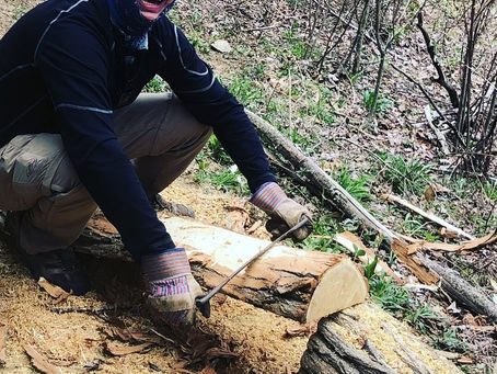 4/19/18 Day 270 AT Day 30: A full day of volunteer trail maintenance