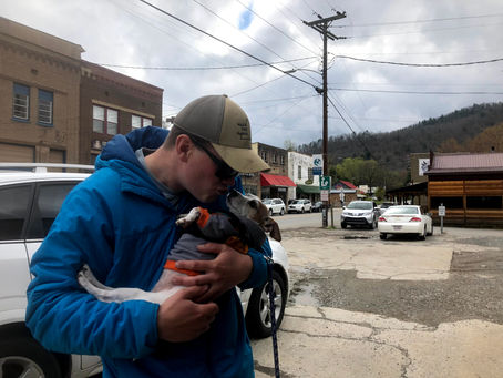 4/9/18 Day 260 AT Day 20: Into Hot Springs, NC