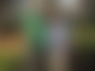 Walk the Parks is ON!