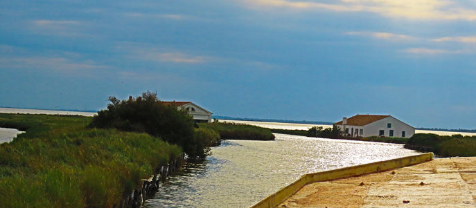 EU - diesmal von innen