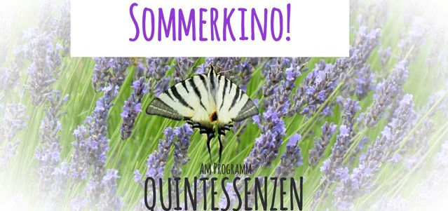 Verführung zum Nachdenken