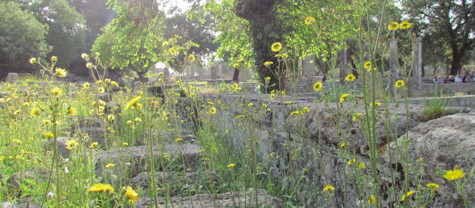 Kein heiliger Waffenstillstand zu Olympia