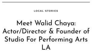 Shoutout LA Interview with Walid Chaya Actor Director