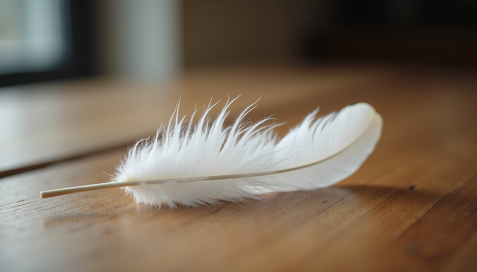 A delicate white feather rests gently on a wooden surface, symbolizing the reassuring presence of angels ready to offer guidance and support.