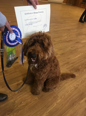 Wilf showing off his graduation gifts