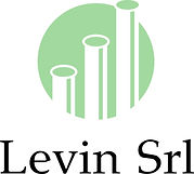 Logo Levin