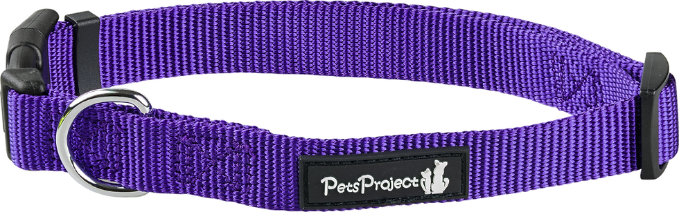 תמונה ממוזערת: קולרים בצבעים לכלב