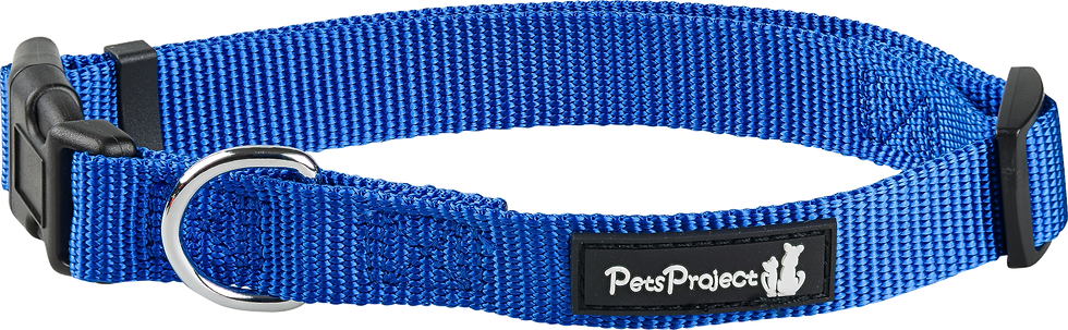 תמונה ממוזערת: קולרים בצבעים לכלב