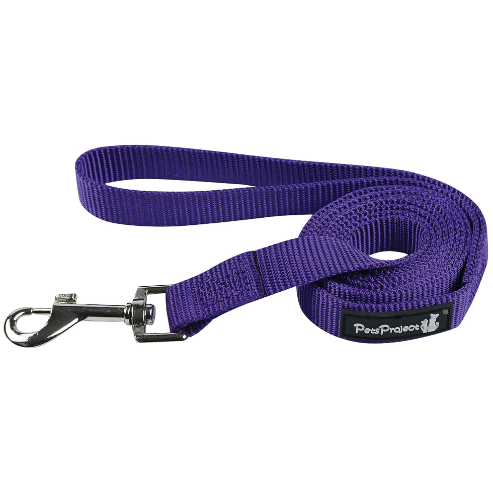 תמונה ממוזערת: רצועת ניילון בצבעים לכלב