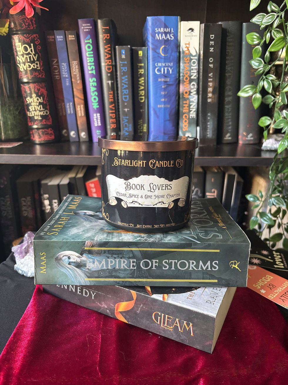 Thumbnail: Book Lovers