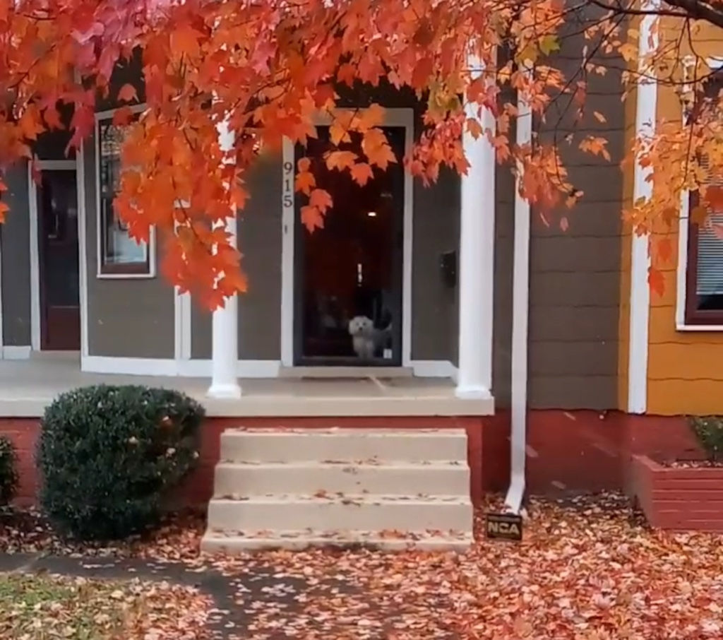 Prospect House Music