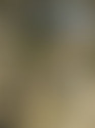 春のネイチャーキャンプを開催しました!