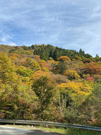 小田深山紅葉情報2021/11/1