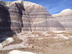 2014-11-09 13.05.48.jpg