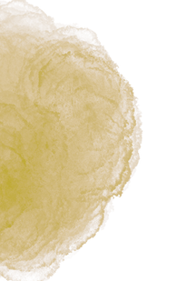 14_edited.png