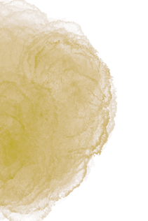 14_edited.png