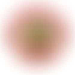 5. Spieltag 2024/ 2025