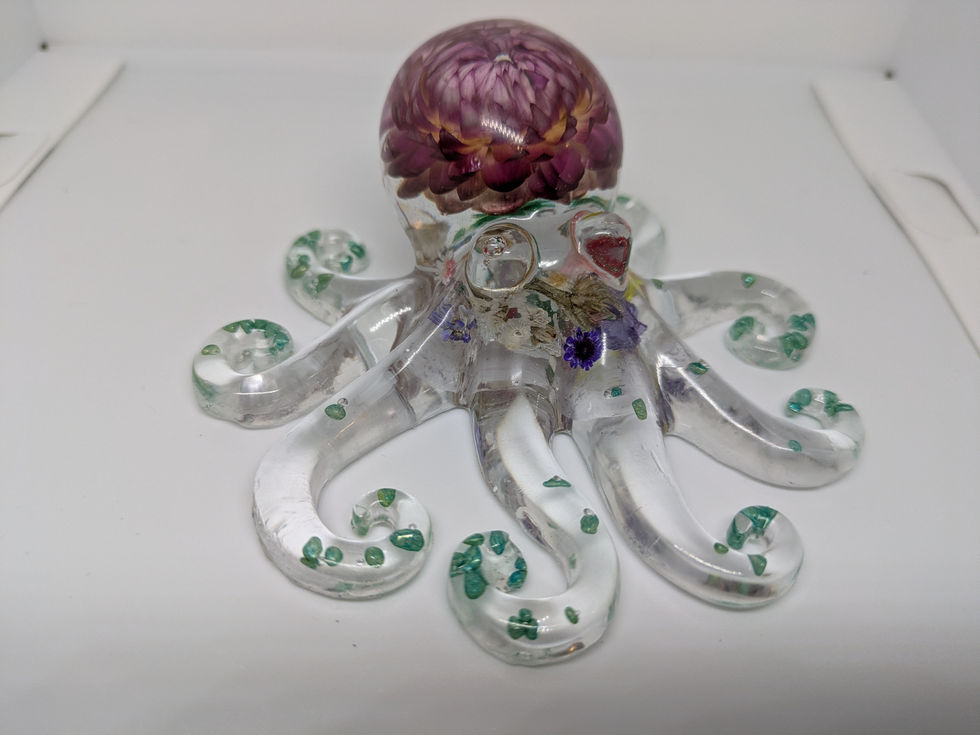 PXL_20260202_173537245