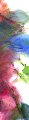 bb_7806_48_200d