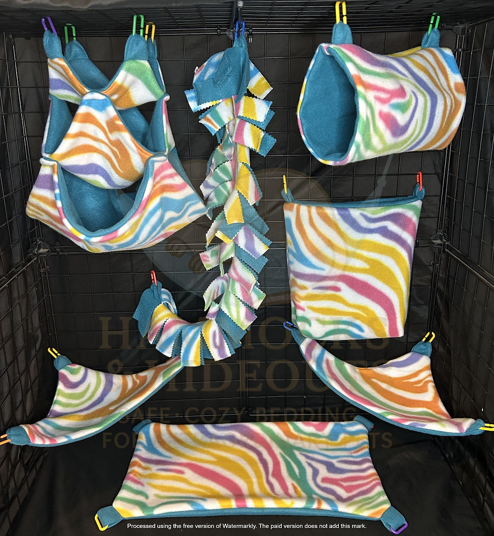 Rainbow Zebras Cage Set