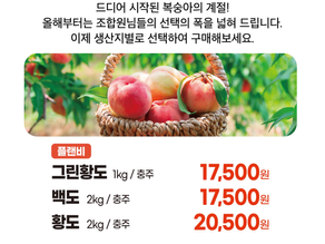 올여름 복숭아 햇 출하!!!