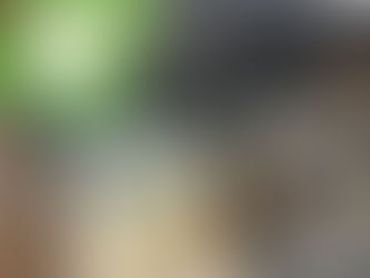 성장하는 엄마모임 8월 일지