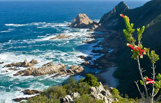 garden route, south africa
