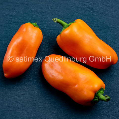 Mini paprika orange
