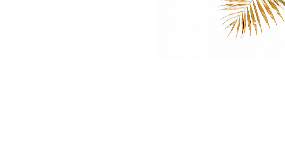 Untitled design-7.png