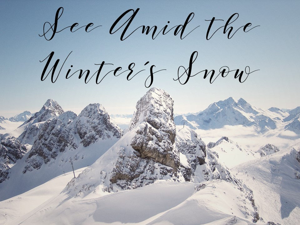 See Amid the Winter's Snow See Amid the Winter's Snow