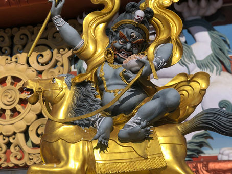 Revolucionários também estão fritos