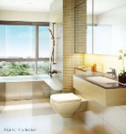 Beautifully designed Toilet