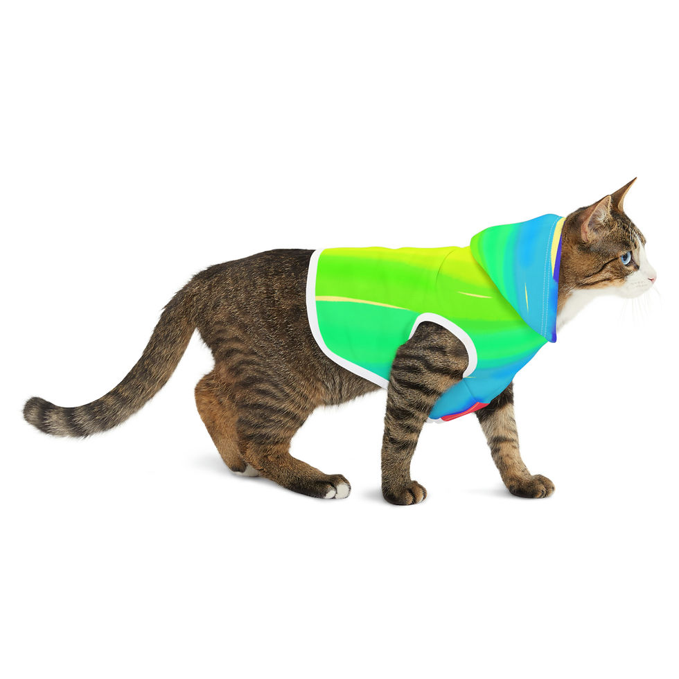 Thumbnail: Rainbow Digital Watercolor Pet Hoodie
