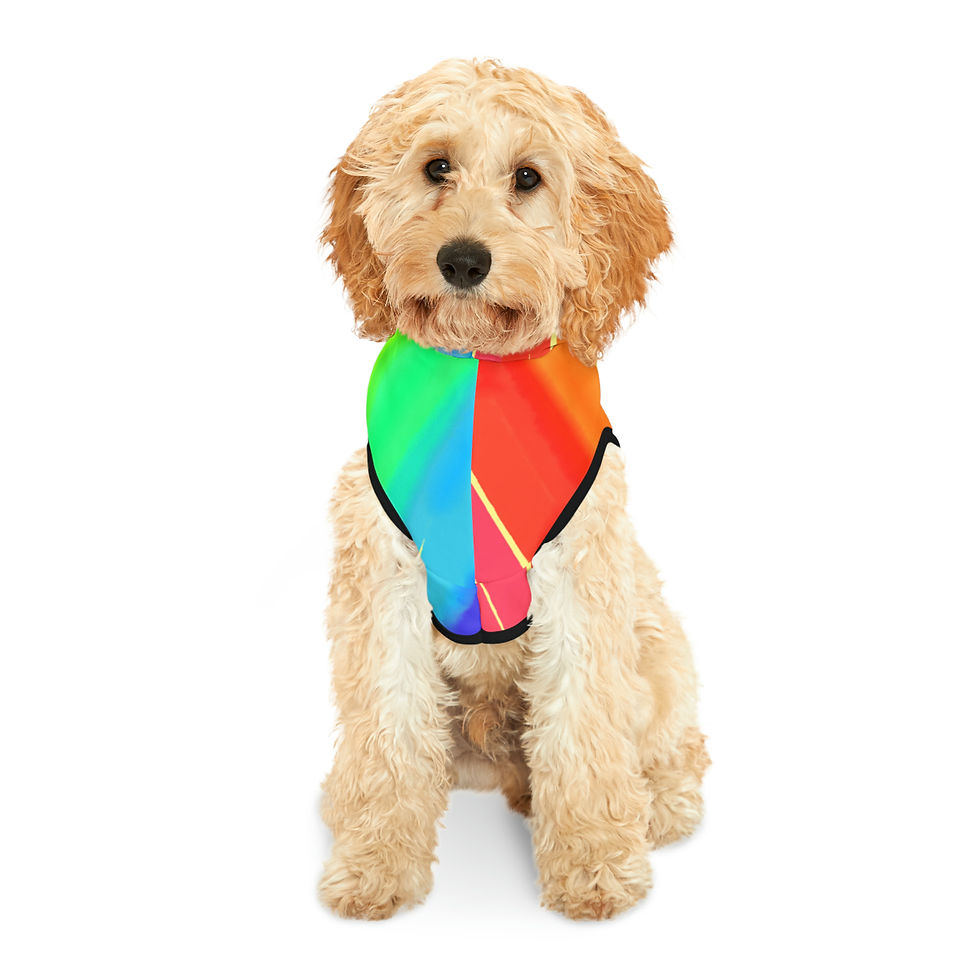 Thumbnail: Rainbow Digital Watercolor Pet Hoodie