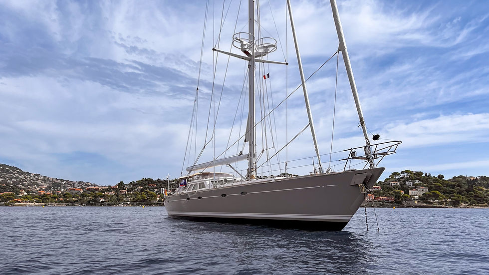 JERSEY PEARL profile right.jpg
