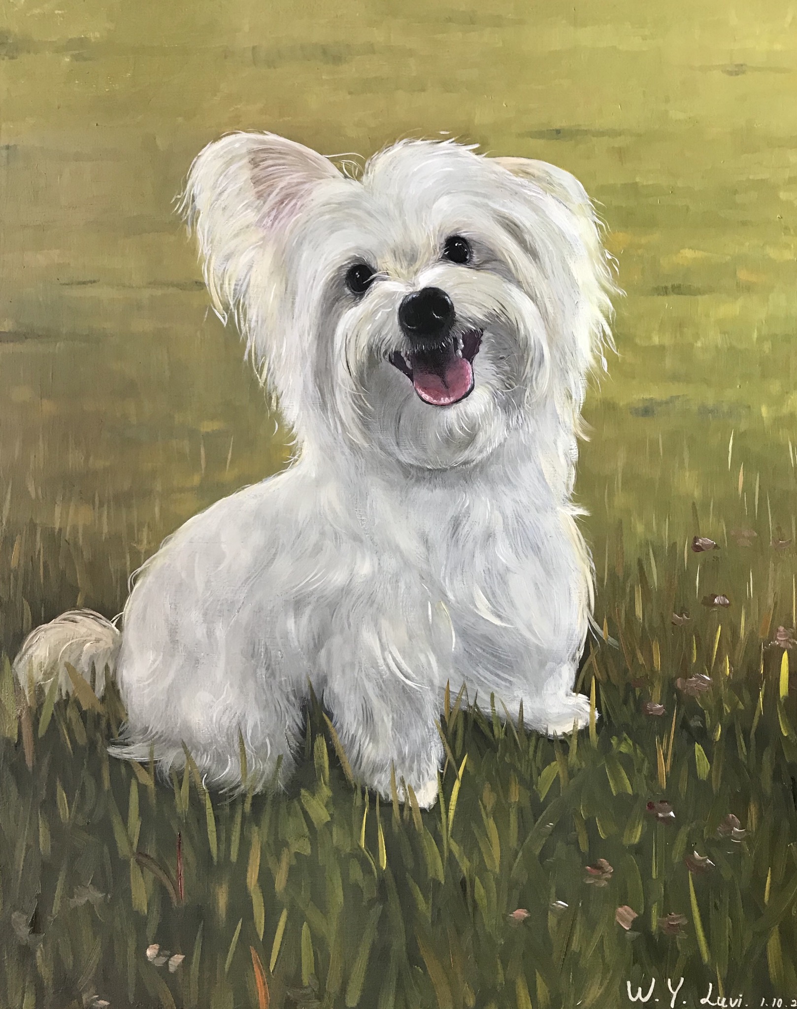 Grace 16'' x 20'' Oil
