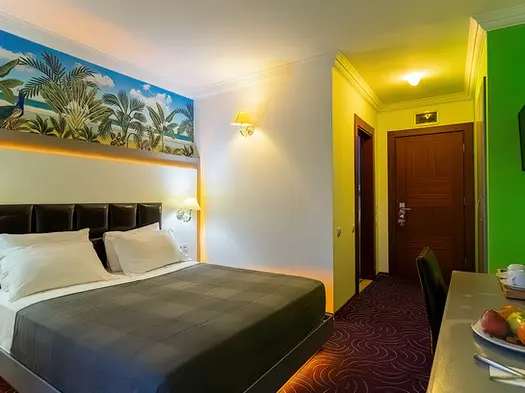 Стандартный номер отеля Mene City с двуспальной кроватью