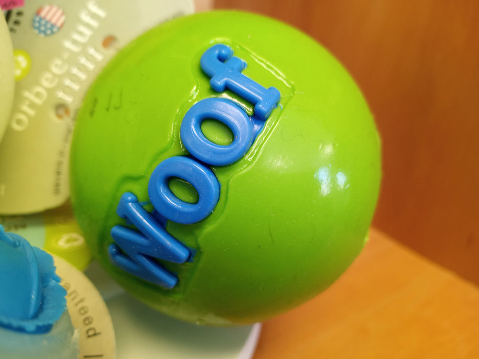 Thumbnail: Planet Dog Ball Woof