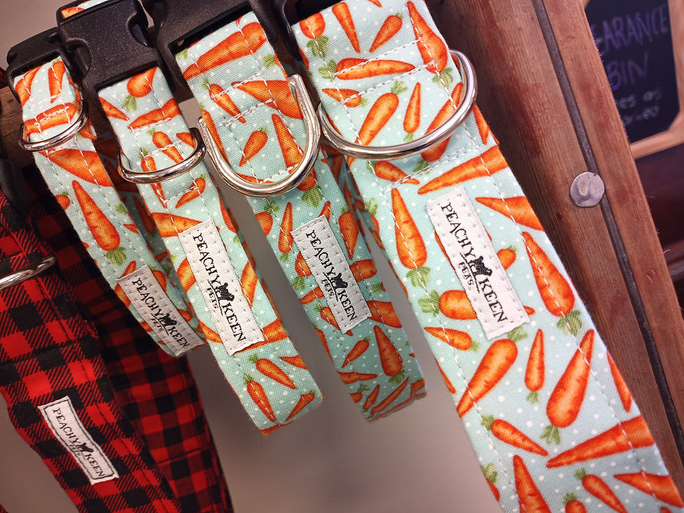 Peachy Keen Pets Carrots Dog Collar