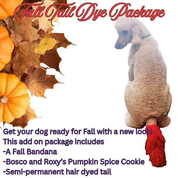 Fall tail dye.jpg