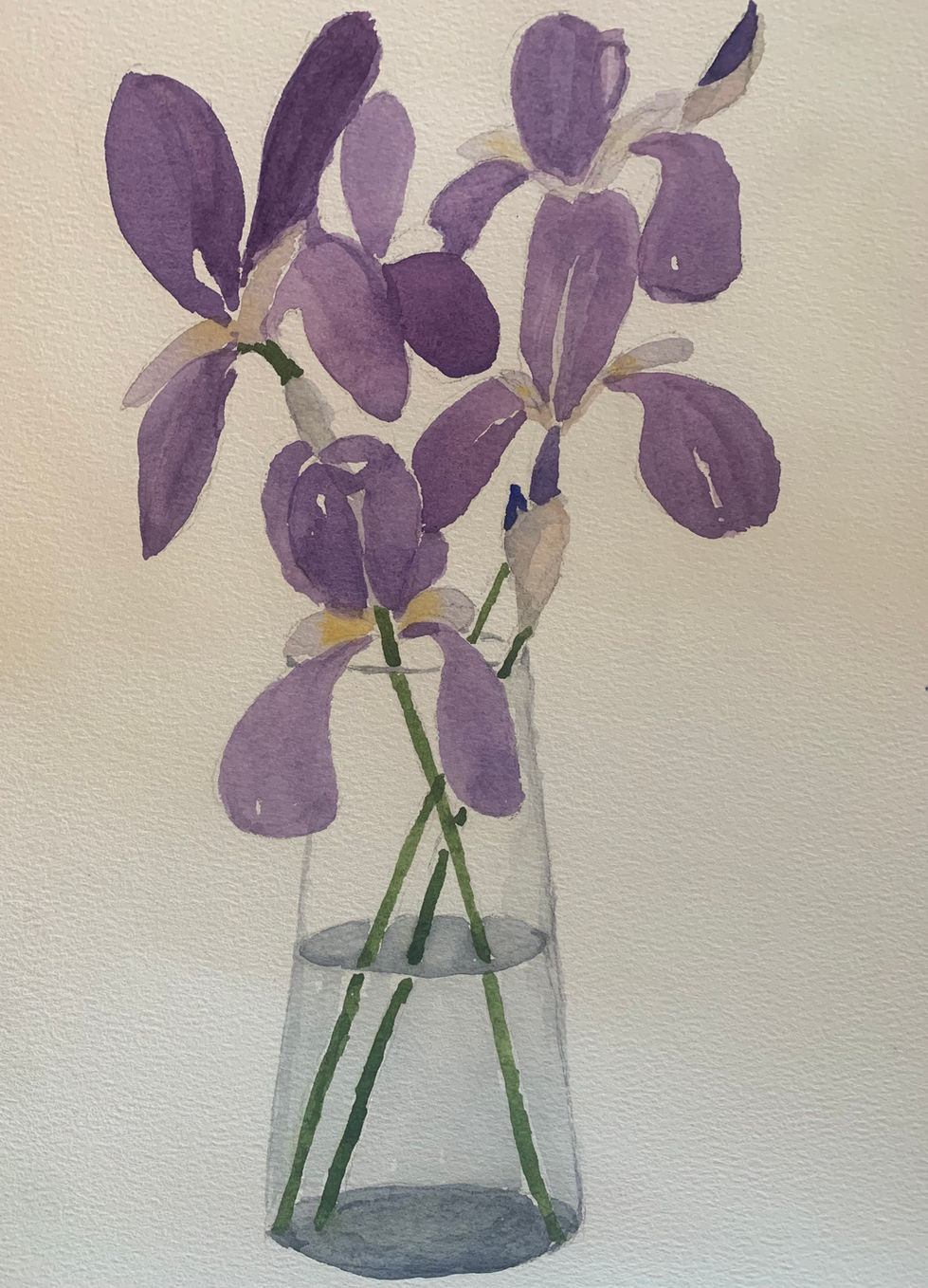 Irises