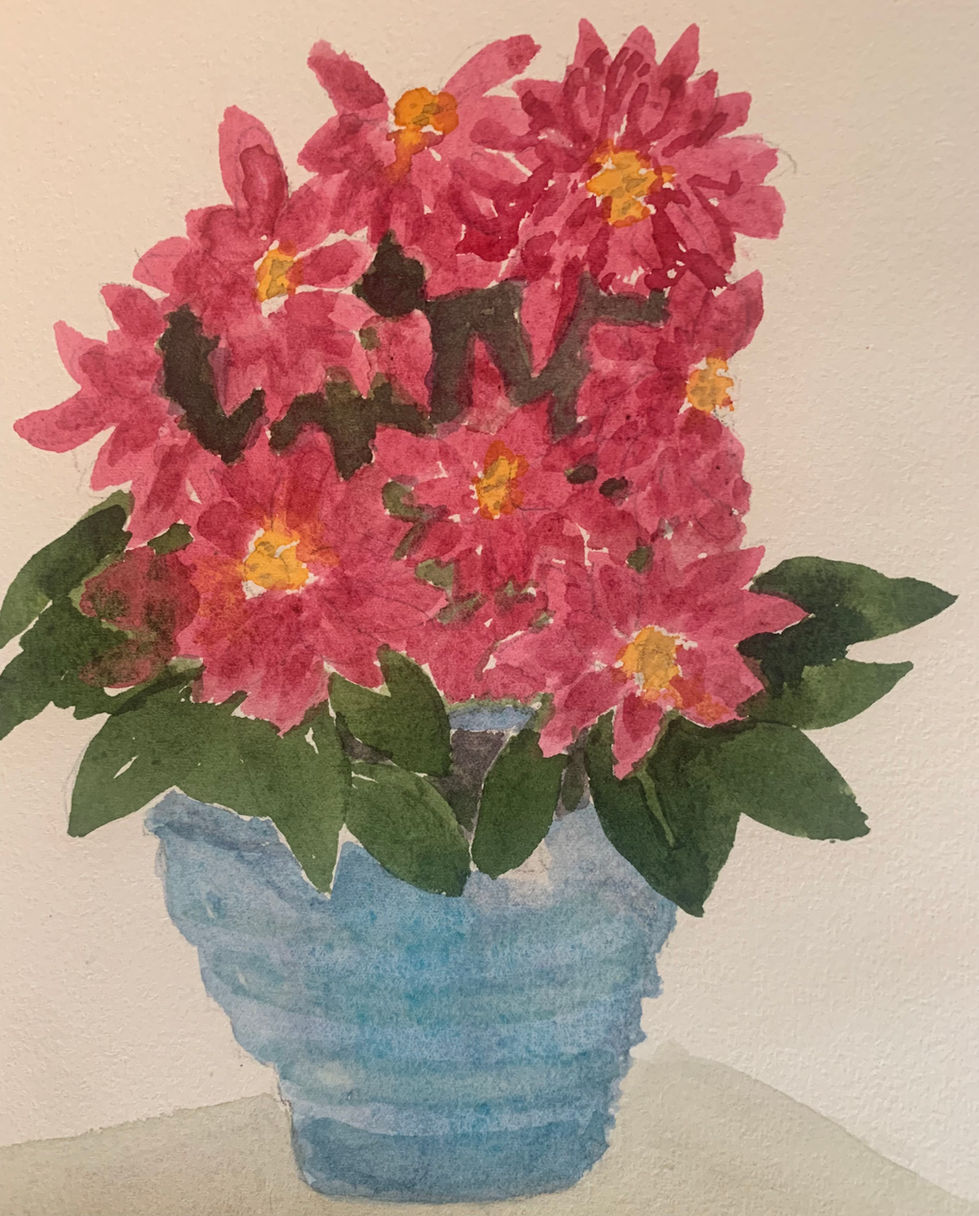 Pink Dahlias