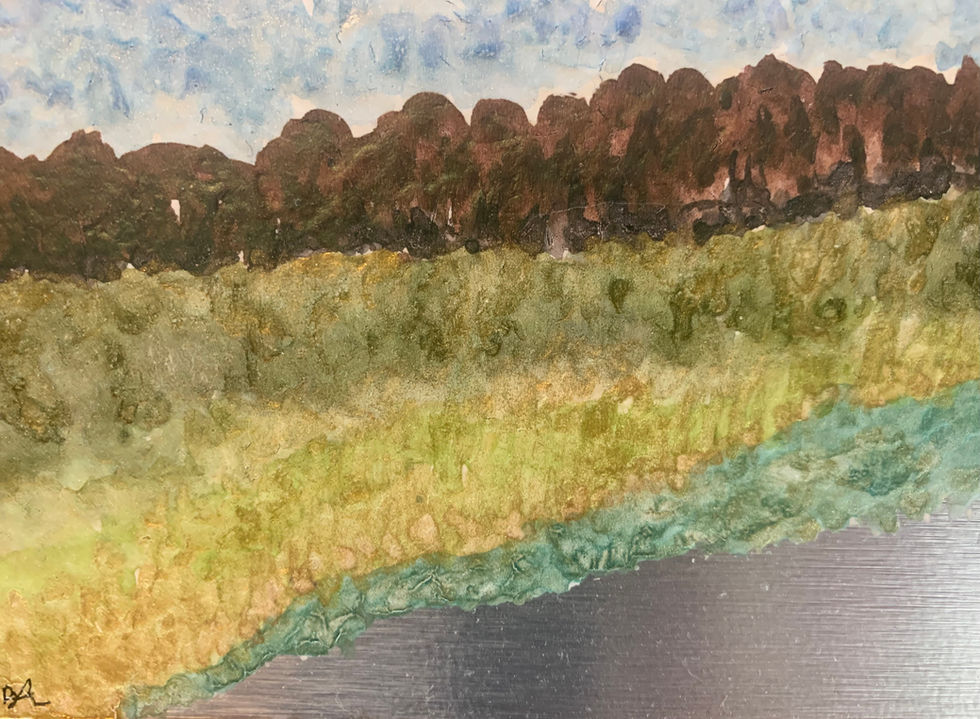 Palmer Cove Marsh