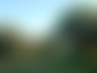 EN SAUCE VIEJO SE ESTÁ PROPONIENDO LO QUE SERÍA SU PRIMERA RESERVA PRIVADA DE USO MÚLTIPLE