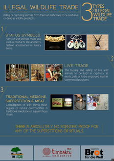 Illegal wildlife trade poster
