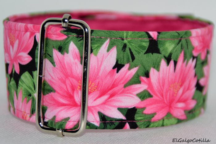 Miniatura: Lotus & Buffalo