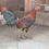 Miniatura: ASILES