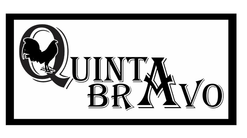 Foto del escritor: QUINTA BRAVO