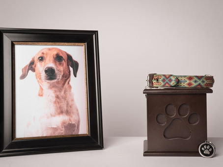 Private vs. Communal Pet Cremation: What’s the Difference?