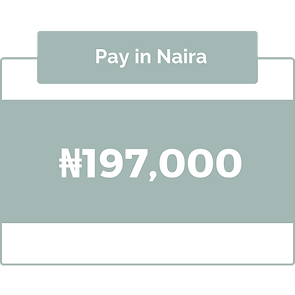 Pay in Dollars (200 x 380 px) (4).png